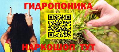 spice Долгопрудный