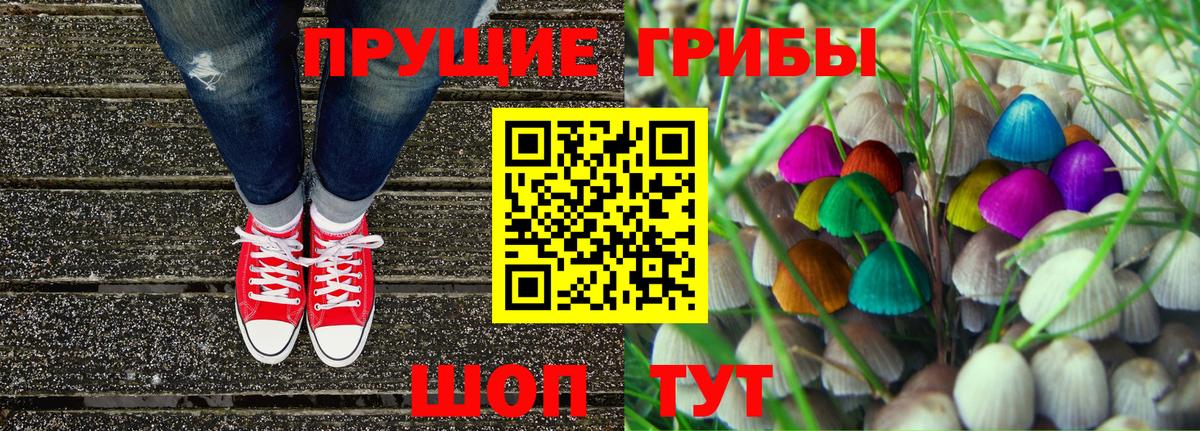 Галлюциногенные грибы Psilocybe  Вход с VPN  Губкин 