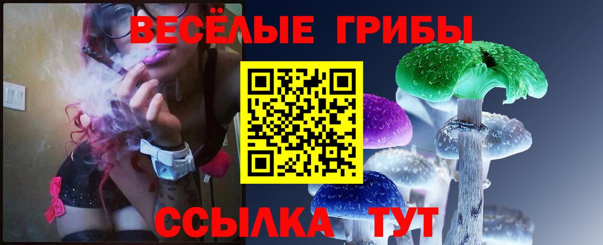 Галлюциногенные грибы прущие грибы Губкин