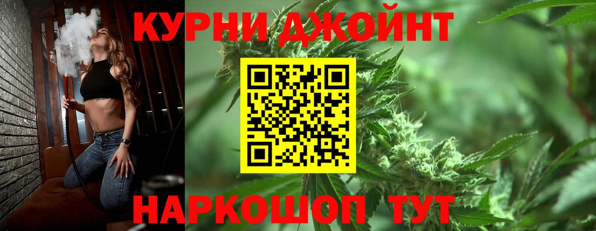 Каннабис индика  Канабис планчик  Губкин  Каннабис Amnesia  Марихуана Amnesia  Вход с VPN 